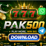 PAK500 Game
