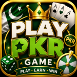 PLAYPAK Game
